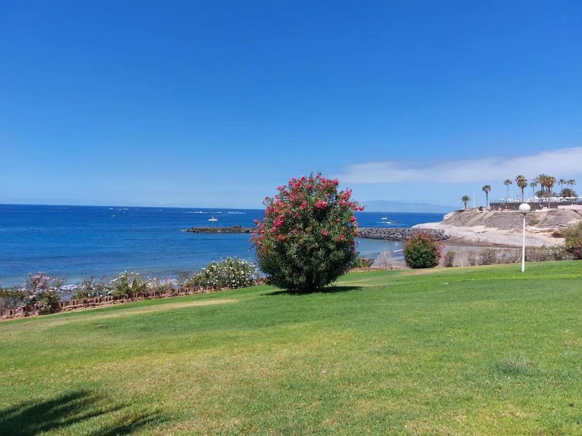 32 Green Park Amazing Bright Studio With Pool San Miguel de Abona 0*,  Spain